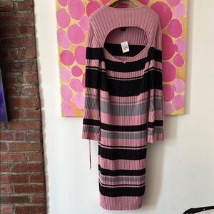 Ashley Stewart Pink and Black Striped Long Sleeve Dress